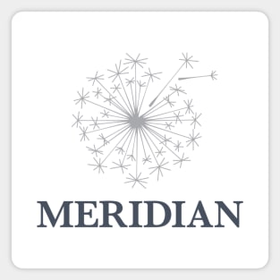 Meridian DBT Stacked Full Color Logo Magnet